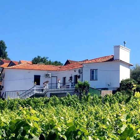 Casa Ceci Douro Villa Cidadelhe  Bagian luar foto