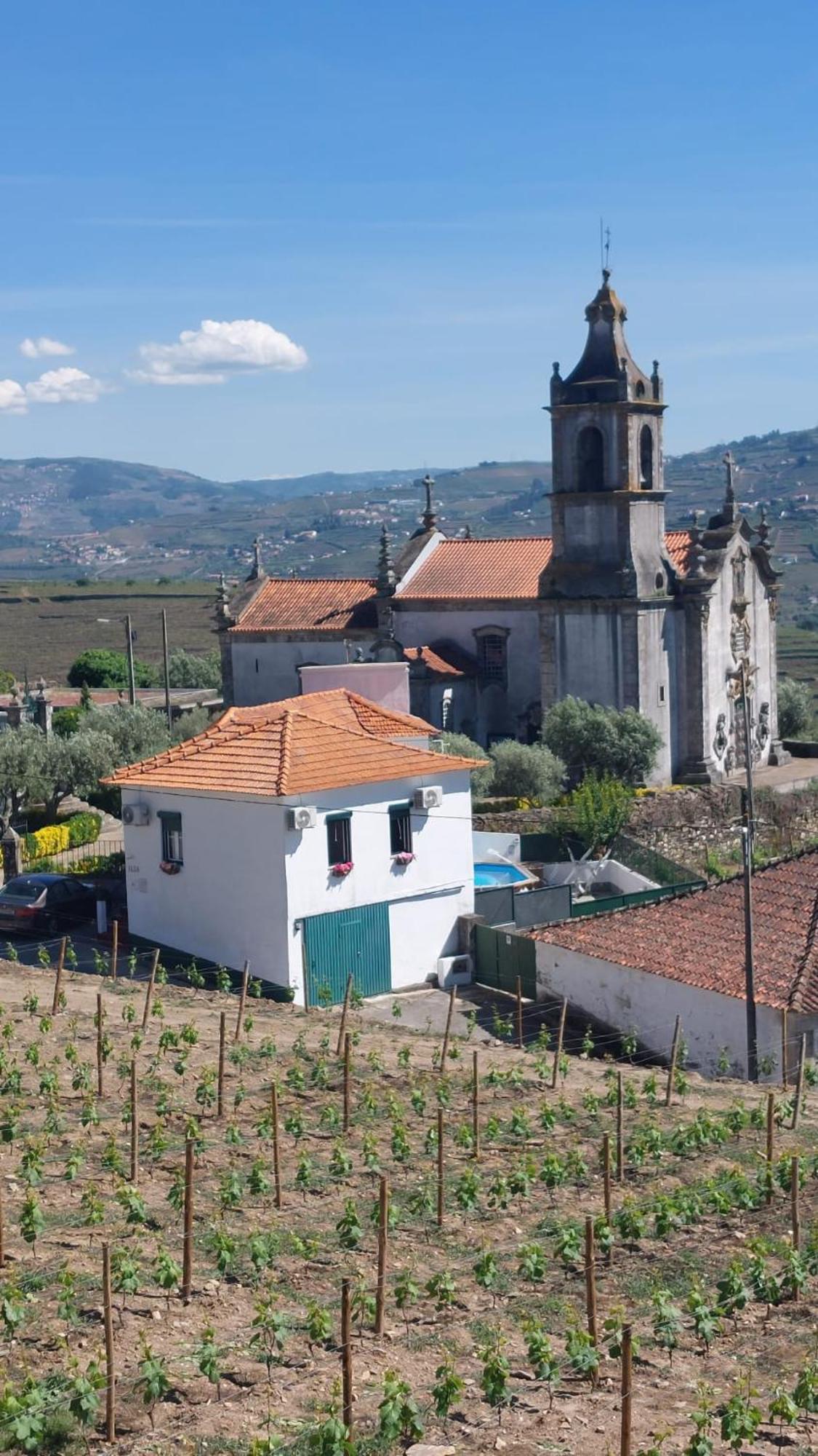 Casa Ceci Douro Villa Cidadelhe  Bagian luar foto