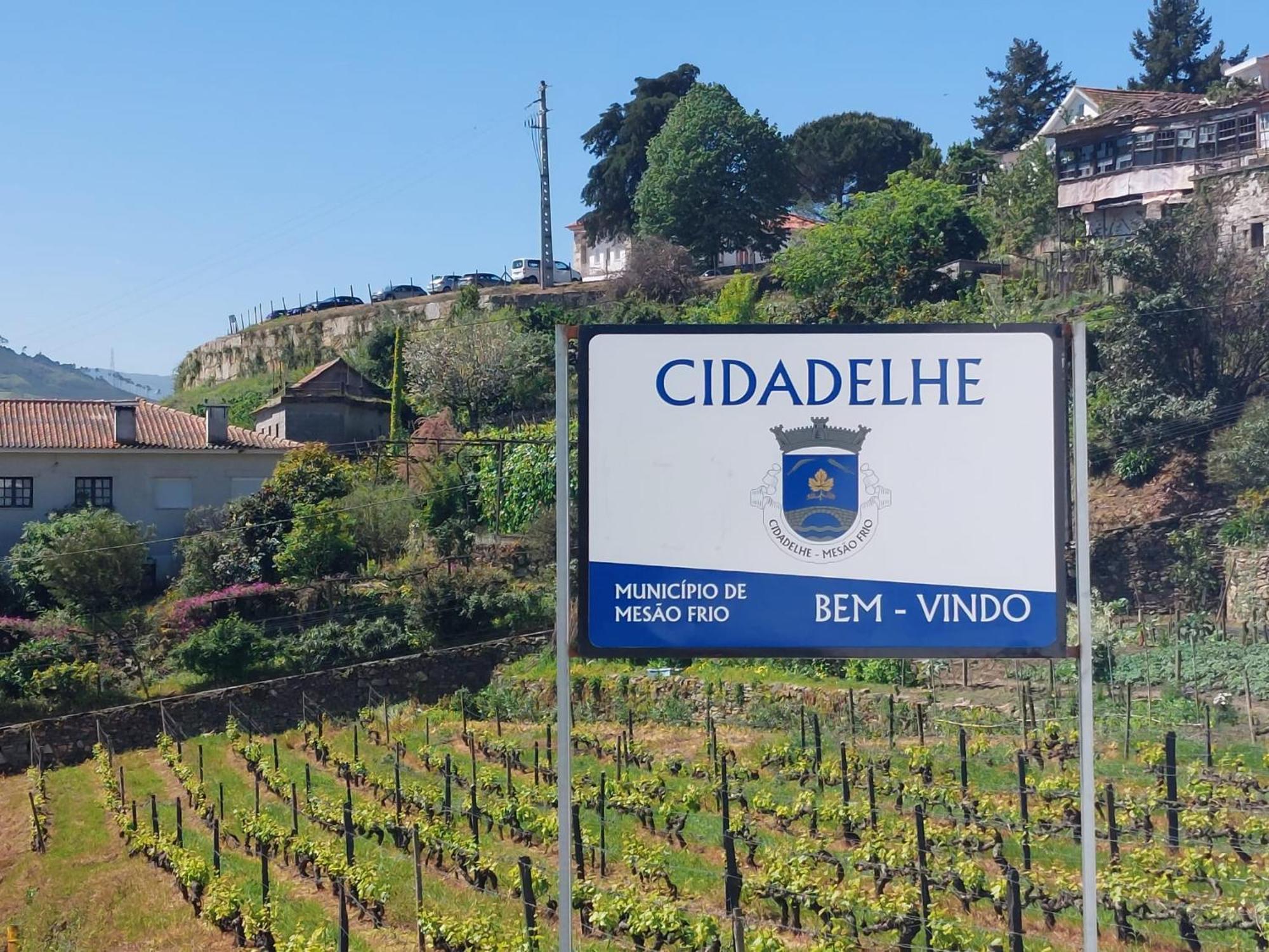 Casa Ceci Douro Villa Cidadelhe  Bagian luar foto