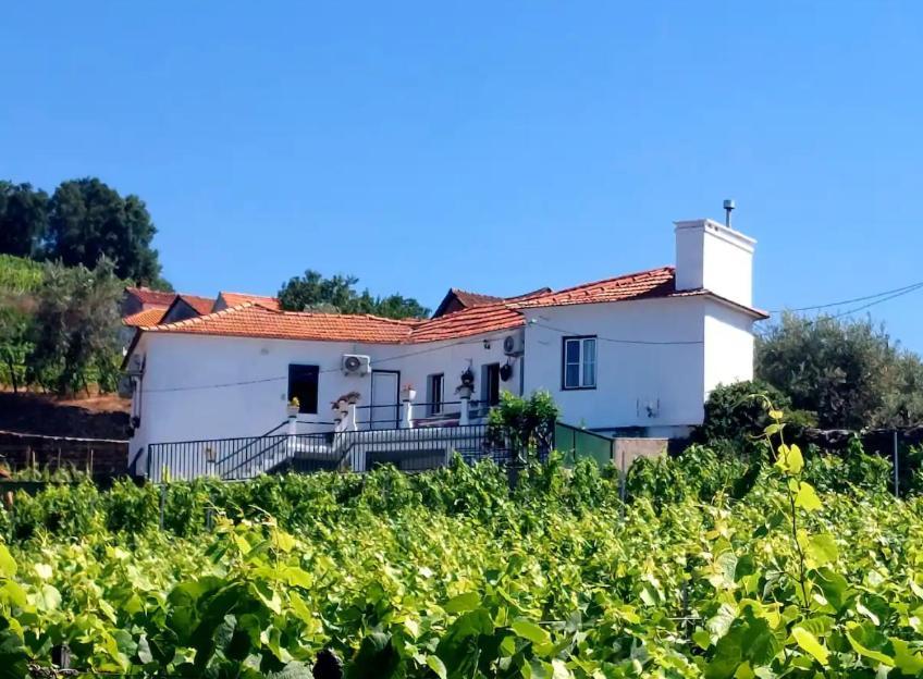 Casa Ceci Douro Villa Cidadelhe  Bagian luar foto